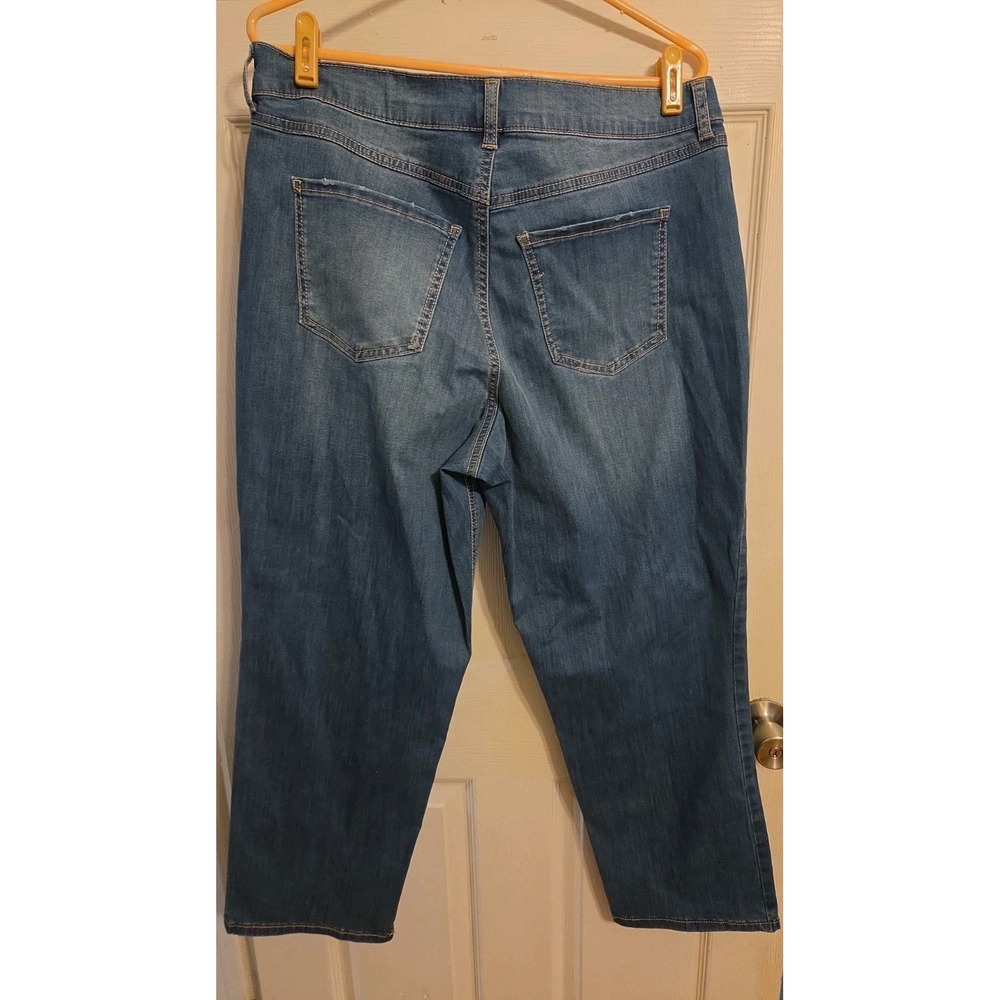 Terra & Sky 16W Petite Straight Light Wash Jeans - Picture 4 of 5